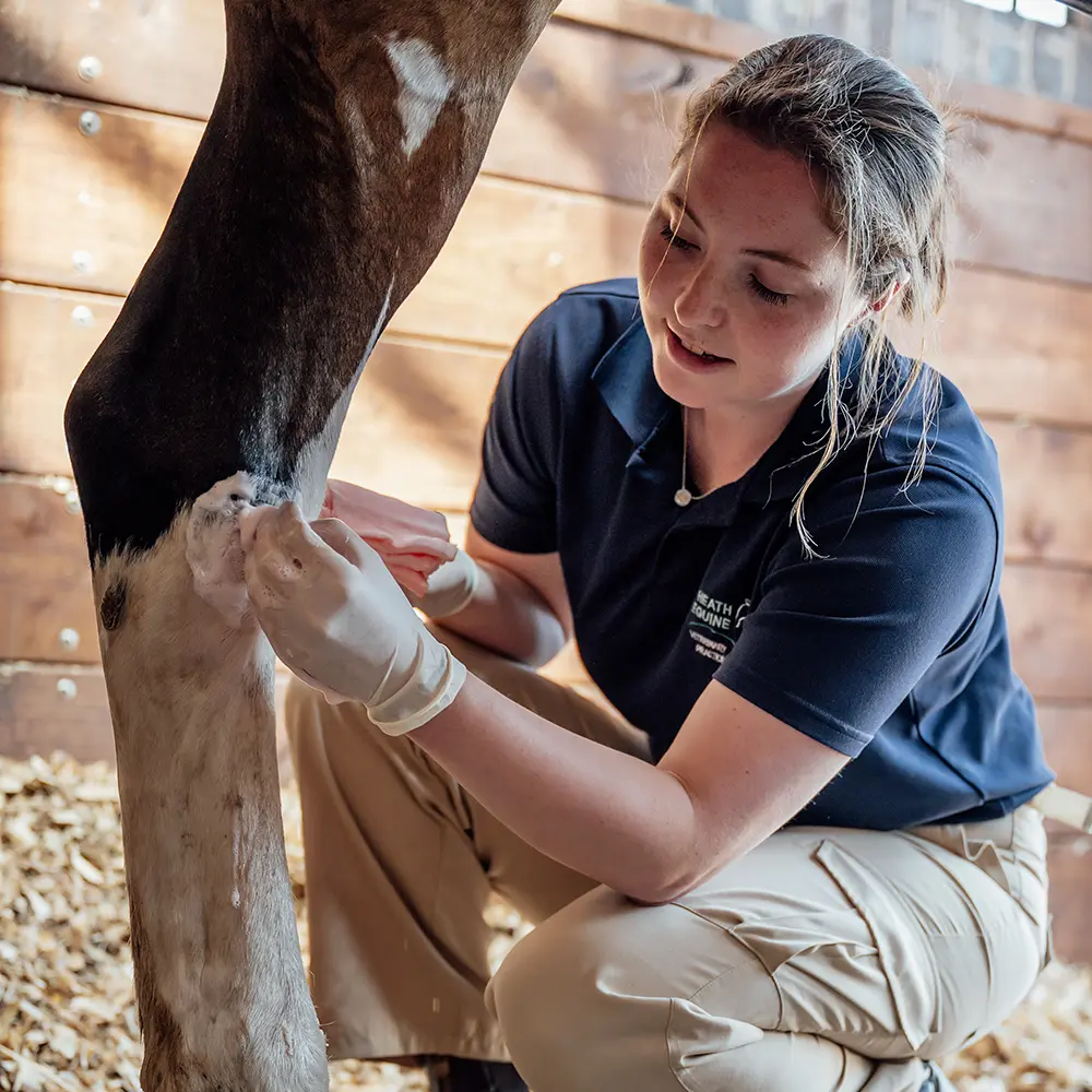 Izzy Dale Meet The Team